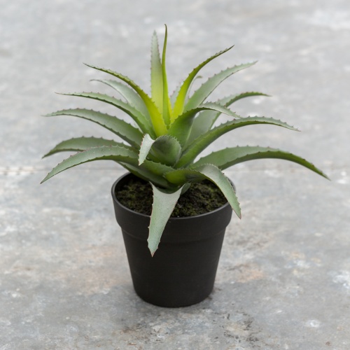 Faux Aloe in a pot 31cm by Grand Illusions